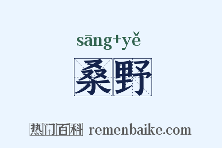 桑野是什么意思的图片